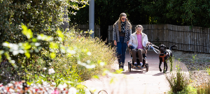 Accessible walks