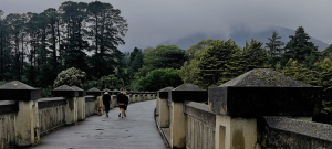 Parks Victoria walks