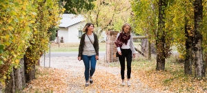 Alpine Shire walks